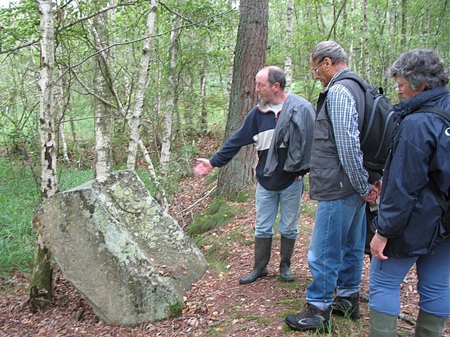 Borne armoriée Marais du Cerisaie 29.7.2007 2